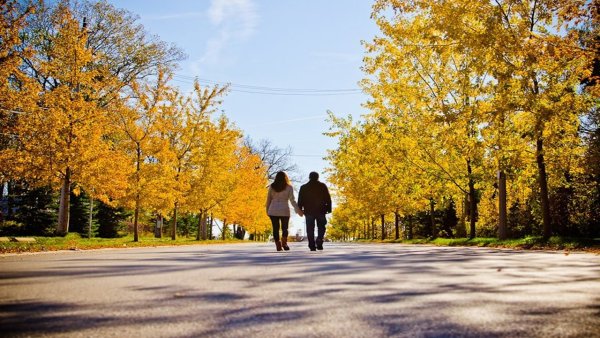 Осень парк прогулка вдвоем