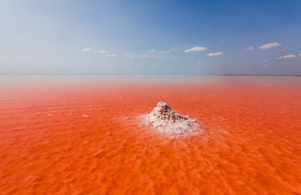 Соленое озеро Эльтон