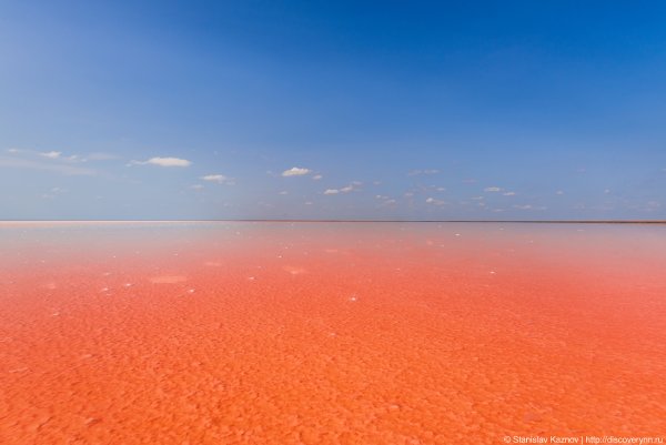 Озеро Эльтон Волгоградская
