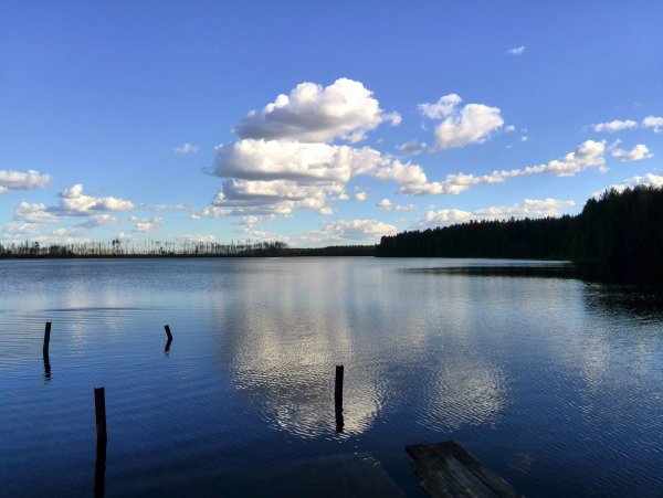 Филатовское озеро Ивановская область