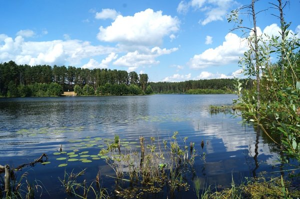 Святое Тумботинское озеро Нижегородская область