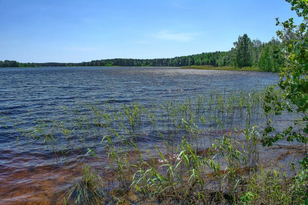 Озеро святое дедовское Нижегородская область