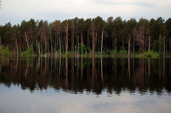 Святое Тумботинское озеро Нижегородская область