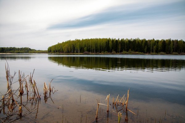 Западное озеро Южа