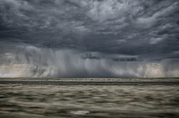 Дождевая буря