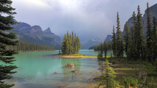 Лесное озеро (Forest Lake)