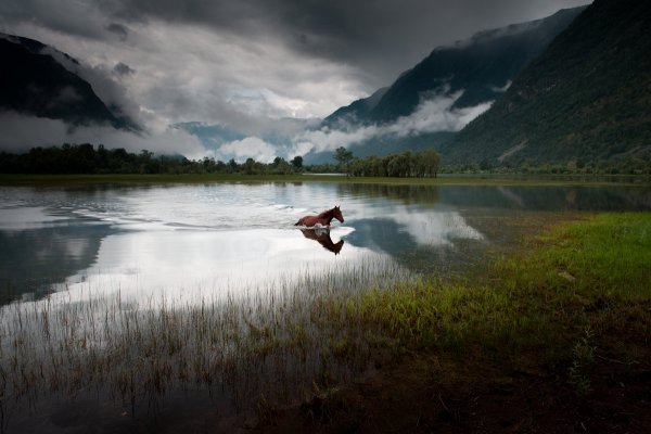 Фотоконкурс природа России