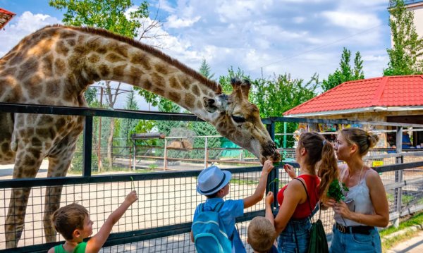 Зоопарк Тайган в Крыму