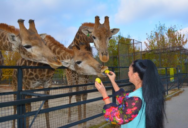 Сафари парк Крым