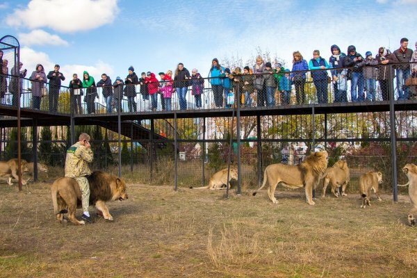 Парк Львов Тайган в Крыму