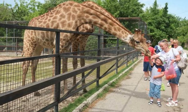 Тайган сафари парк в Крыму