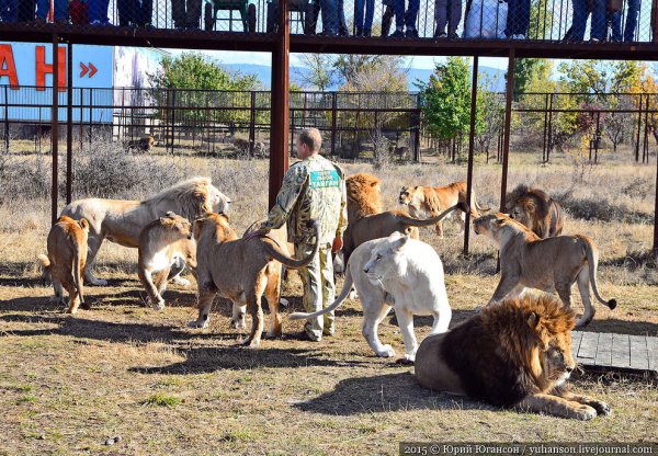 Тайган сафари парк в Крыму