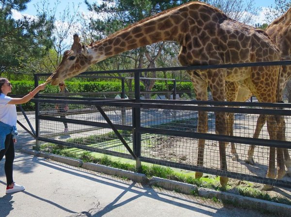 Парк Тайган Крым