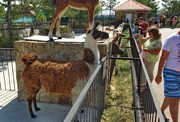 Тайган сафари парк