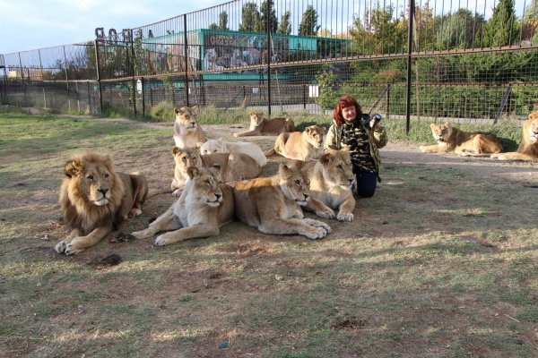 Белогорск Крым сафари парк Тайган