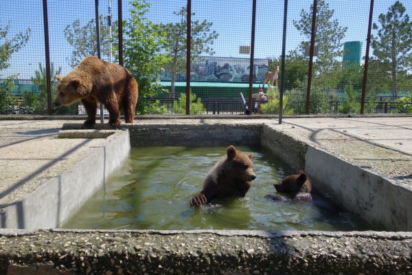 Парк Тайган Крым