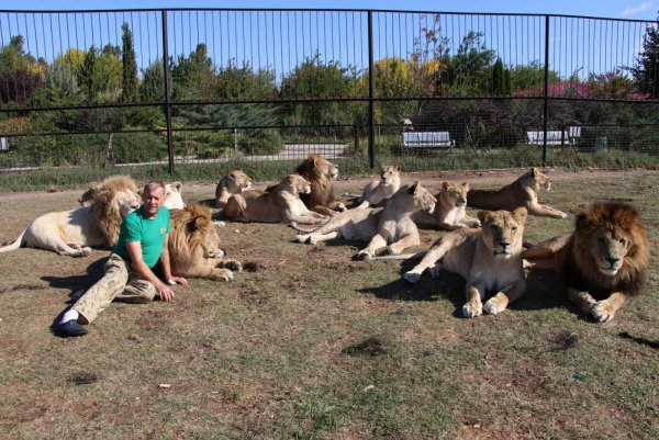 Тайган сафари парк Львов