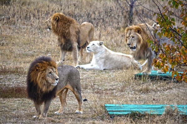 Заповедник Тайган в Крыму