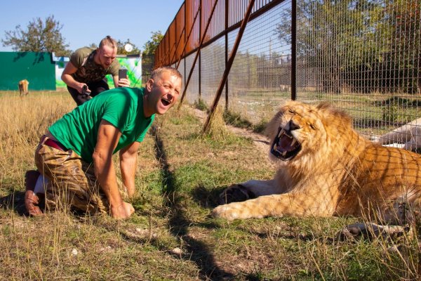 Парк Львов Тайган в Крыму