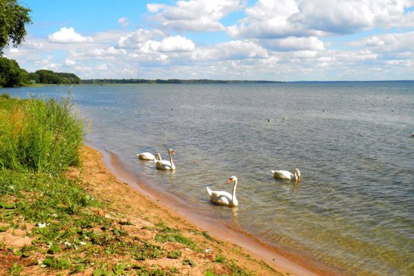 Озеро белое Нарочанского края