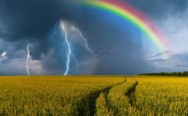 На Ставрополье дожди и грозы.