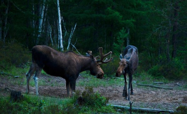 Национальный парк Красночикойский район