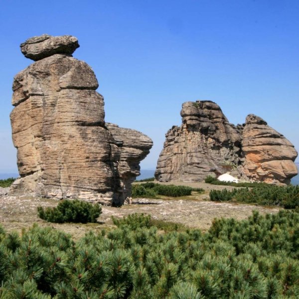 Национальный парк Чикой Эсутайский голец