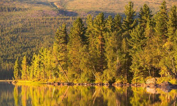 Чикой заповедник