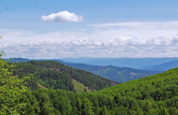 Парк Чикой Забайкальский край
