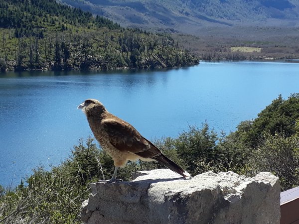 Национальный парк Чикой птицы