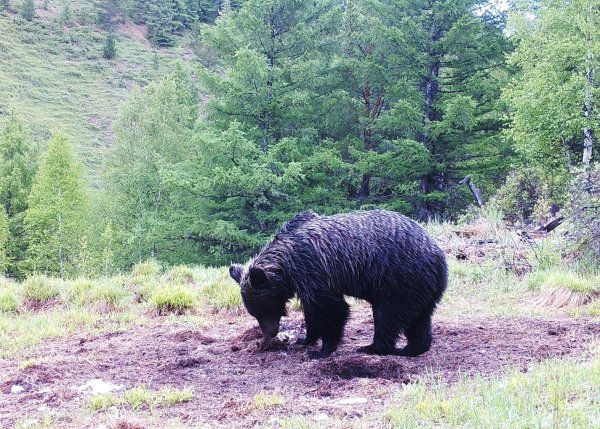 Национальный парк Чикой