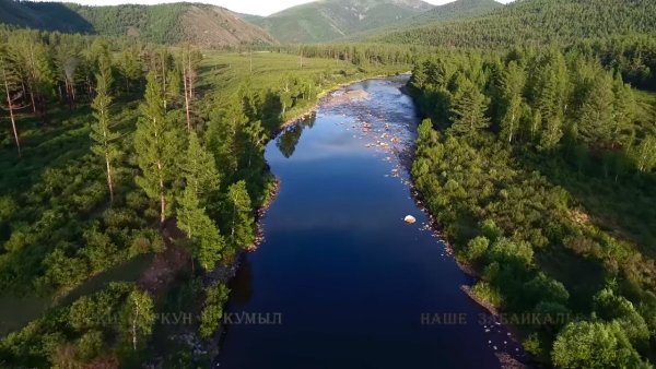 Природа Забайкальского края Чикой