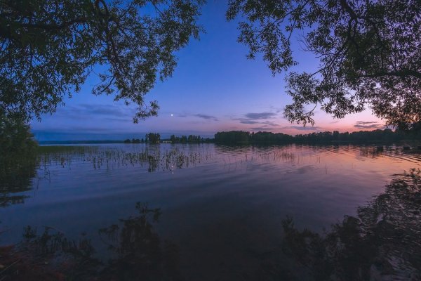 Сумерки природа