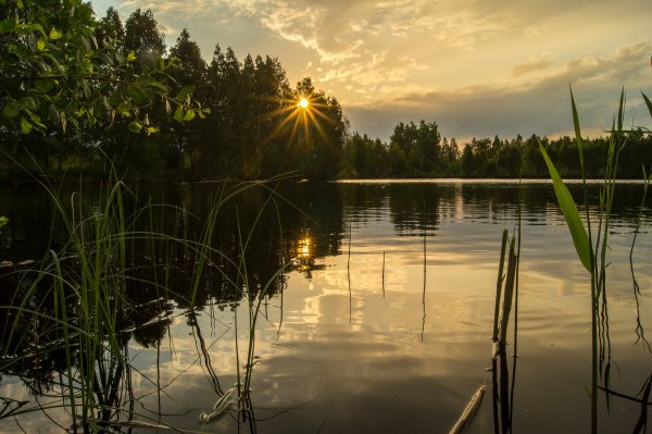 Вечером на озере летом