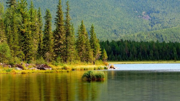 Озеро Аленушка Забайкальский край