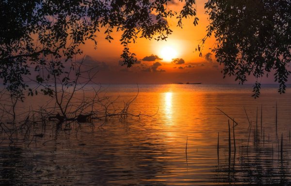 Красивый закат на озере