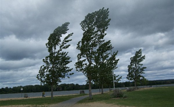 Порывы ветра летом