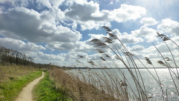 Сильный ветер летом