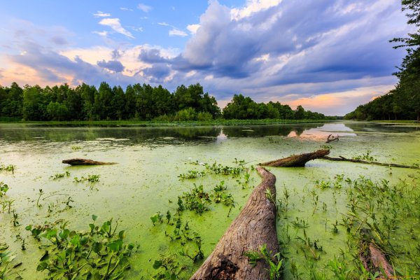 Болота, озера, реки Томск