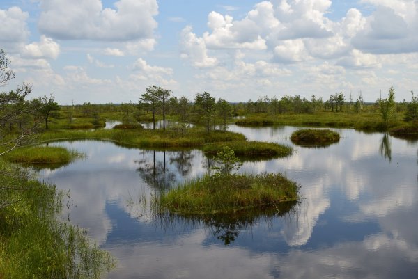 Озеро Ельня Беларусь