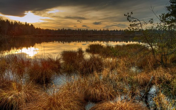 Васюганское болото осенью