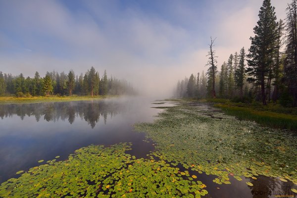 Таменгонтское болото