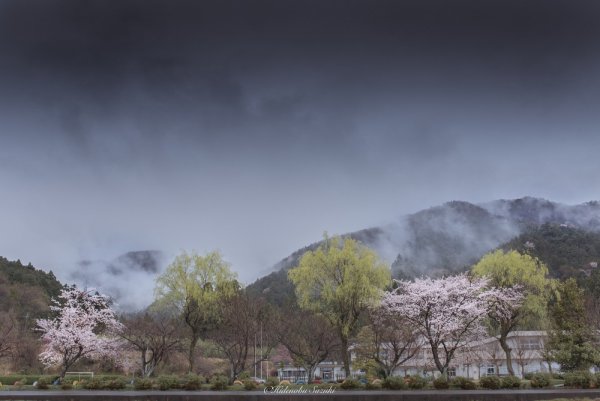 Природа дождливая в Япония