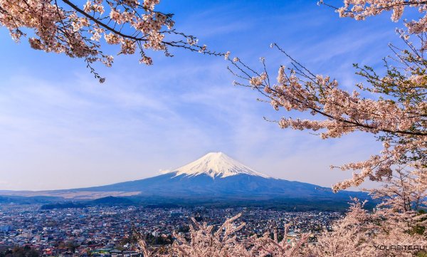 Киото Фудзияма Хиросима