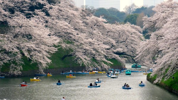 Япония лето город