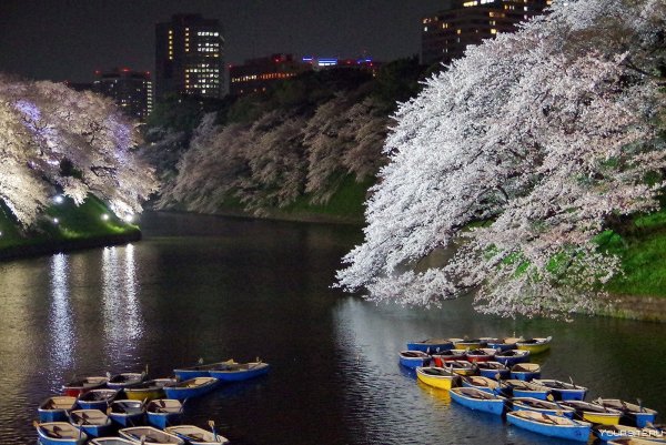 Парк тидоригафути (Чидоригафучи)