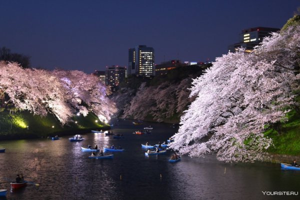 Токио Канто