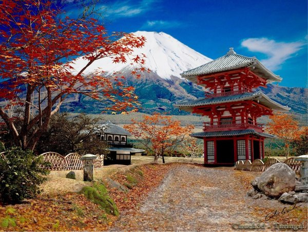 Япония Синто природа