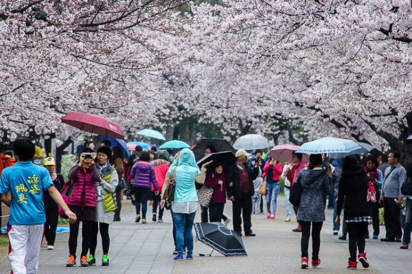 Апрель в Китае