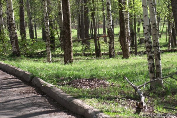 Парк в Боровске